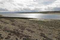 Cjp_2017-03-29_125752.jpg