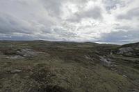 Cjp_2017-03-29_132426.jpg