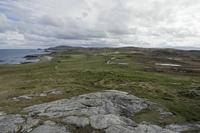 Cjp_2017-03-29_132600.jpg