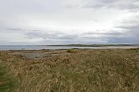 Cjp_2017-03-29_144728.jpg