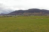 Cjp_2017-03-29_145008.jpg