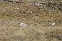 Cjp_2017-03-29_150410.jpg