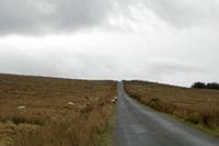 Cjp_2017-03-29_151402.jpg