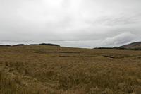 Cjp_2017-03-29_151418.jpg