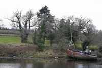 Cjp_2017-03-29_165956.jpg