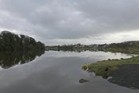 Cjp_2017-03-30_065110.jpg