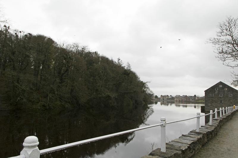 Cjp_2017-03-30_071610.jpg