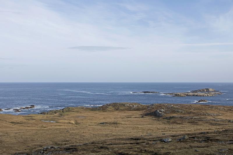 Cjp_2017-03-30_085344.jpg