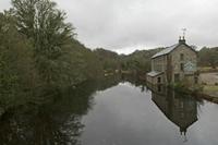 Cjp_2017-03-30_071316.jpg