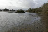 Cjp_2017-03-30_075102.jpg