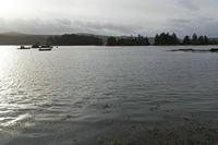 Cjp_2017-03-30_075106.jpg