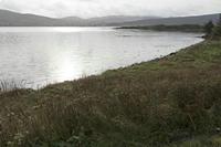 Cjp_2017-03-30_075750.jpg