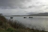 Cjp_2017-03-30_075808.jpg