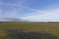 Cjp_2017-03-30_081312.jpg
