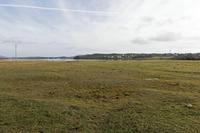 Cjp_2017-03-30_081330.jpg