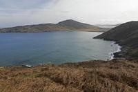 Cjp_2017-03-30_084716.jpg