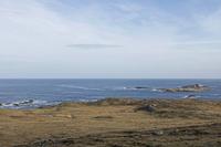 Cjp_2017-03-30_085344.jpg