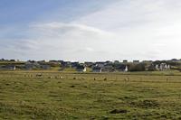 Cjp_2017-03-30_090852.jpg