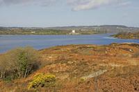 Cjp_2017-03-30_092228.jpg