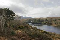 Cjp_2017-03-30_092310.jpg