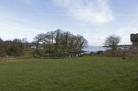Cjp_2017-03-30_094044.jpg