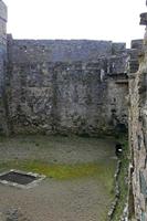 Cjp_2017-03-30_094312.jpg