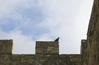 Cjp_2017-03-30_094422.jpg