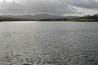 Cjp_2017-03-30_094552.jpg