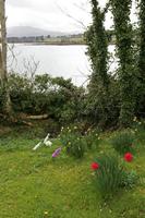 Cjp_2017-03-30_100928.jpg
