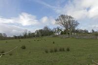 Cjp_2017-03-30_101056.jpg