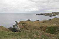 Cjp_2017-03-30_120712.jpg