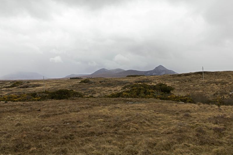 Cjp_2017-03-30_141656.jpg