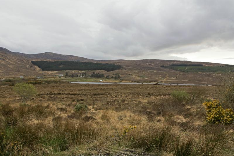 Cjp_2017-03-30_171056.jpg