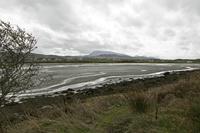 Cjp_2017-03-30_125808.jpg