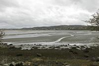 Cjp_2017-03-30_125818.jpg