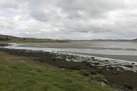 Cjp_2017-03-30_125832.jpg