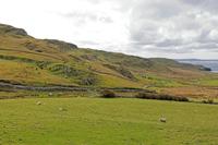 Cjp_2017-03-30_131248.jpg