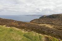 Cjp_2017-03-30_132538.jpg