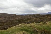 Cjp_2017-03-30_134216.jpg