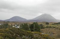 Cjp_2017-03-30_141456.jpg