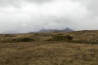 Cjp_2017-03-30_141656.jpg