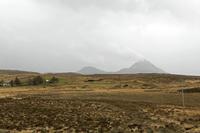 Cjp_2017-03-30_141906.jpg