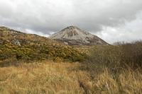 Cjp_2017-03-30_154854.jpg