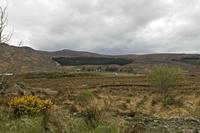 Cjp_2017-03-30_162934.jpg
