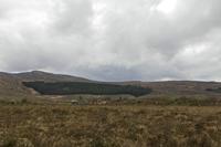 Cjp_2017-03-30_163120.jpg