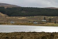 Cjp_2017-03-30_163450.jpg