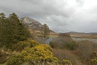 Cjp_2017-03-30_163504.jpg