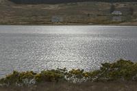 Cjp_2017-03-30_163918.jpg