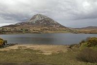 Cjp_2017-03-30_164026.jpg