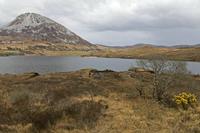 Cjp_2017-03-30_164230.jpg